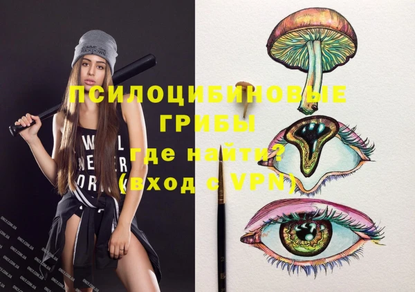 МДПВ Абдулино