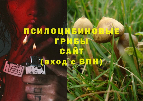 герыч Алексин